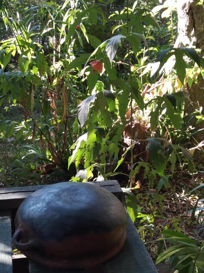 Jardin De Naipi 2 Daire Puerto Iguazú Dış mekan fotoğraf