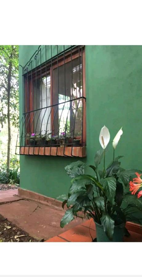 Jardin De Naipi 2 Daire Puerto Iguazú Dış mekan fotoğraf